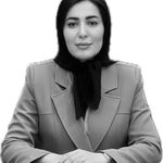 وکیل اندیشه تیموری