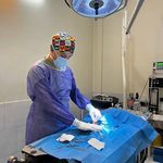 کلینیک دامپزشکی پاندورا