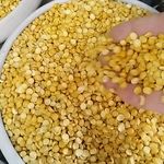 فروش حبوبات اعلا