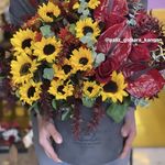 گلفروشی پالیز