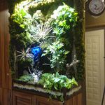 طراحان زیست محیطی پالیز