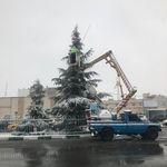 اجاره بالابر نيساني و خاوري