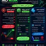 تریدر و مدرس فارکس ، مشاور سرمایه گذاری