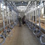 مرکز خدمات کشاورزی مهندس صفری
