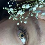 اکستنشن مژه و لیفت مژه و ابرو روشا
