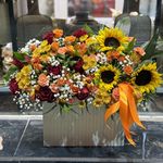 استودیو گل حسین