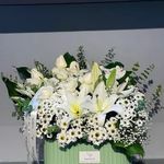 گل سرای یاس