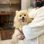 درمانگاه دامپزشکی های پت