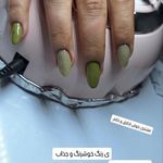 خانه ناخن نبات