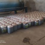 توضیع خوراک دام وکاه نیشکر