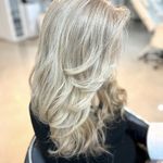 رنگ و لایت درنا