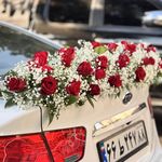 گالری ماهنیز