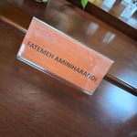 مترجم همزمان انگلیسی فاطمه امینی