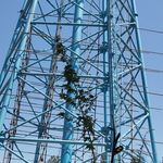 داربست فلزی مقدم