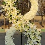 گل فروشی دنیز (آنلاین) -ارسال فوری