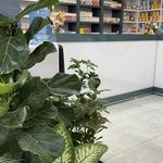 درمانگاه شبانه روزی مها