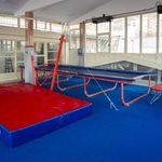 آکادمی ژیمناستیک ویوا
