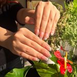 آرایشگاه زنانه و آکادمی تخصصی منیر راد