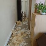 فروشگاه پرده ، کاغذ دیواری و کفپوش NOSUN