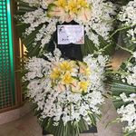 گل فروشی دنیز آنلاین (شعبه 2)