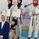 تکواندو رزمی بانو صادقیه بلوار فردوس