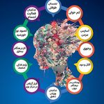 روان شناسی توسعه فردی کوچینگ