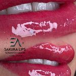 مرکز میکرو سمیه نوری