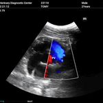 دامپزشک خوب