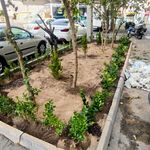 خدمات باغبانی درتمام نقاط تهران