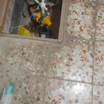 تاسیسات حسن صالحی قلعه شاهرخی
