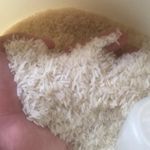 فروش برنج عمده