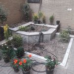 خدمات سمپاشی نودهانی