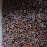 کشمش فروشی مهبودی