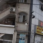 بیمه آسیا
