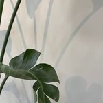 کلینیک دنداپزشکی اسلامشهر