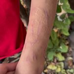 خدمات تخصصی تتو بدن ایاناکا