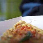 آژانس کسب و کار بسپار