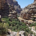 تور گردشگری