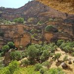 تور گردشگری