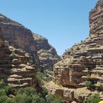 تور گردشگری