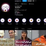 کلینیک دامپزشکی امید