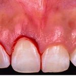 دکتر جهانگیر شیخی