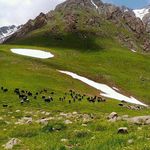 روستای دلیر