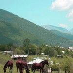 روستای دلیر