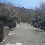 اردوگاه لقمان حکیم
