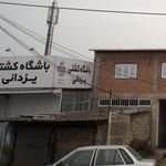 سالن کشتی قائمشهر
