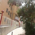 مرکز جوانان  هلال احمر
