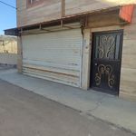محمدرضا نوروزی