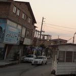 صدف
