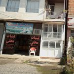 لبنیات سنتی و بستنی سلامت